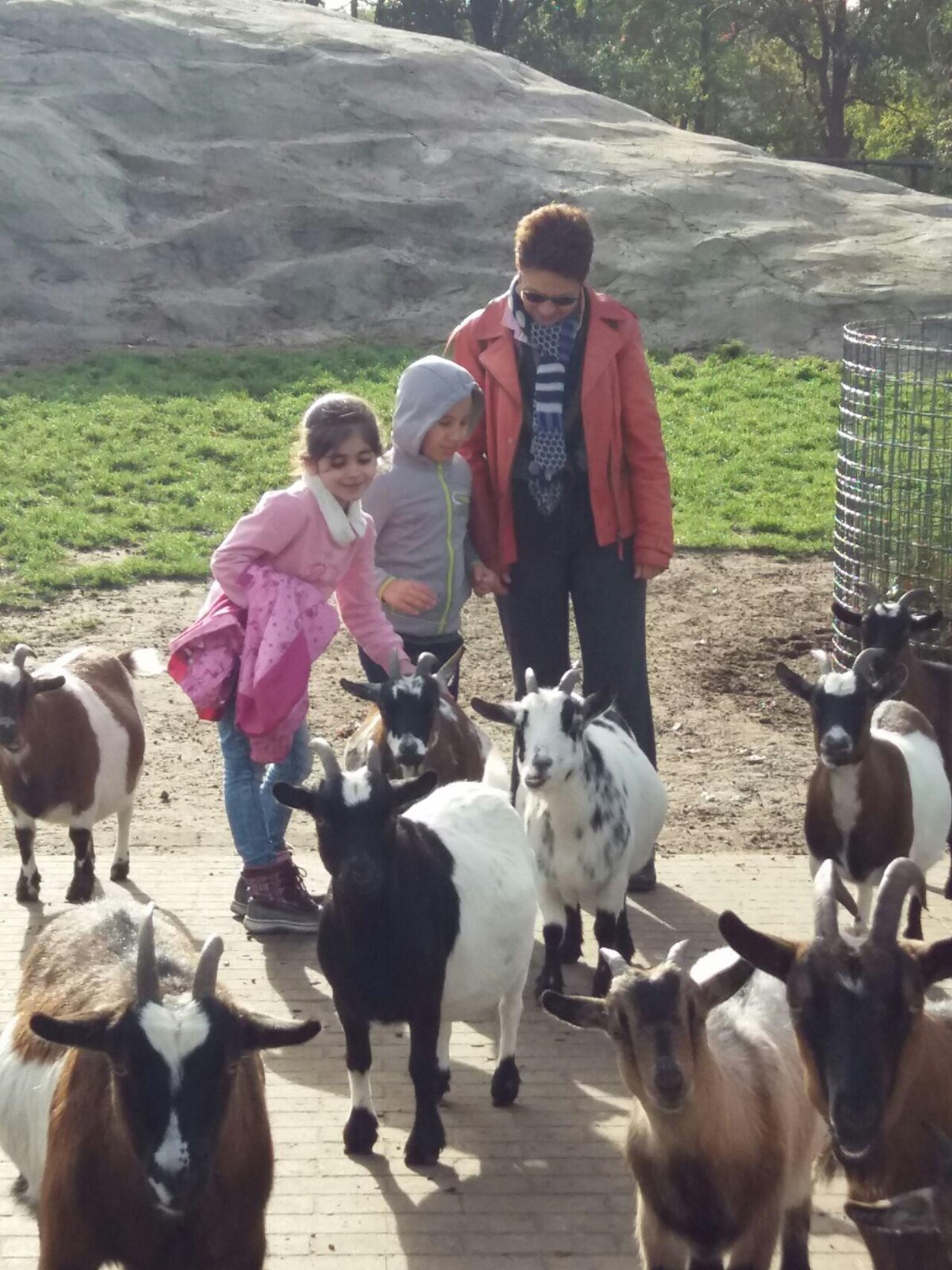 Fahrt zum Tierpark Thüle Image 4