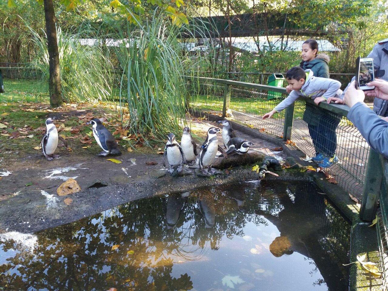 Fahrt zum Tierpark Thüle Image 5