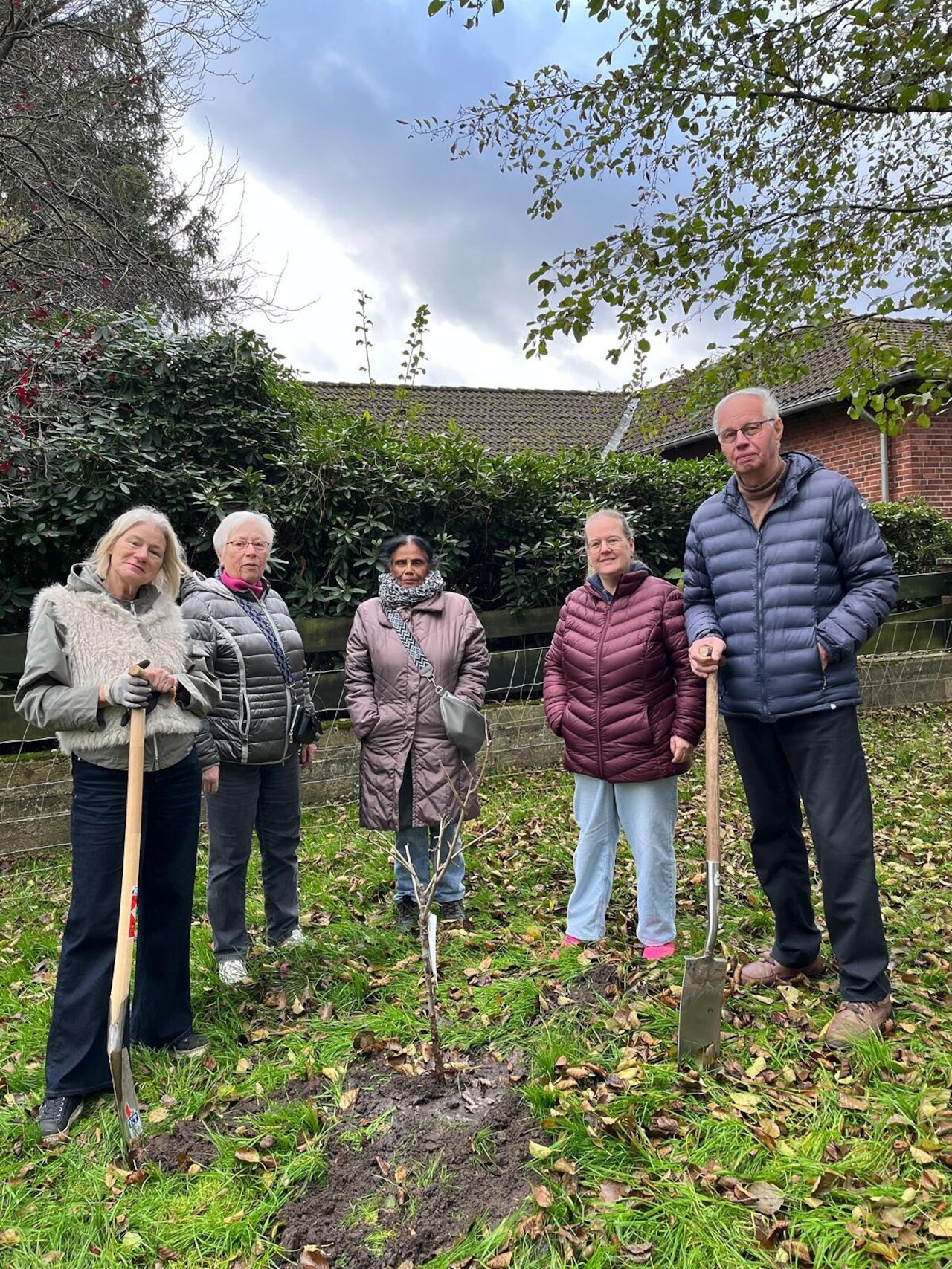 Der Runde Tisch Lohne pflanzt einen Baum in Vechta Image 1