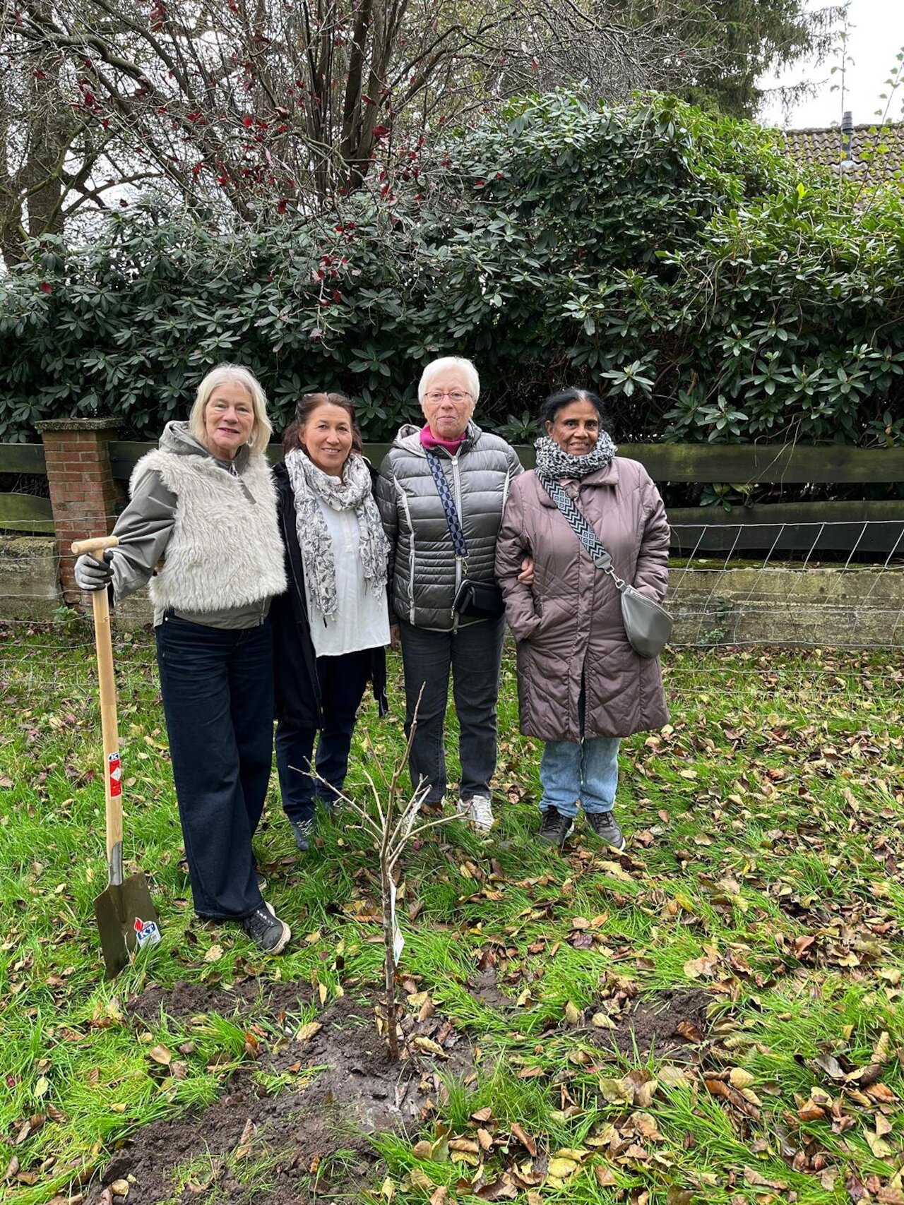 Der Runde Tisch Lohne pflanzt einen Baum in Vechta Image 2