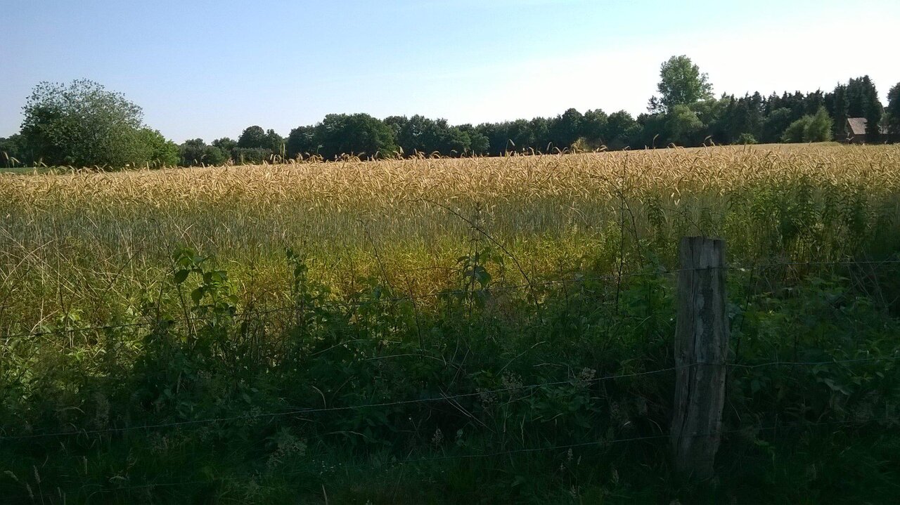 Ausflug zum Hof Göttke-Krogmann in Kroge am 11.07.2015 Image 6